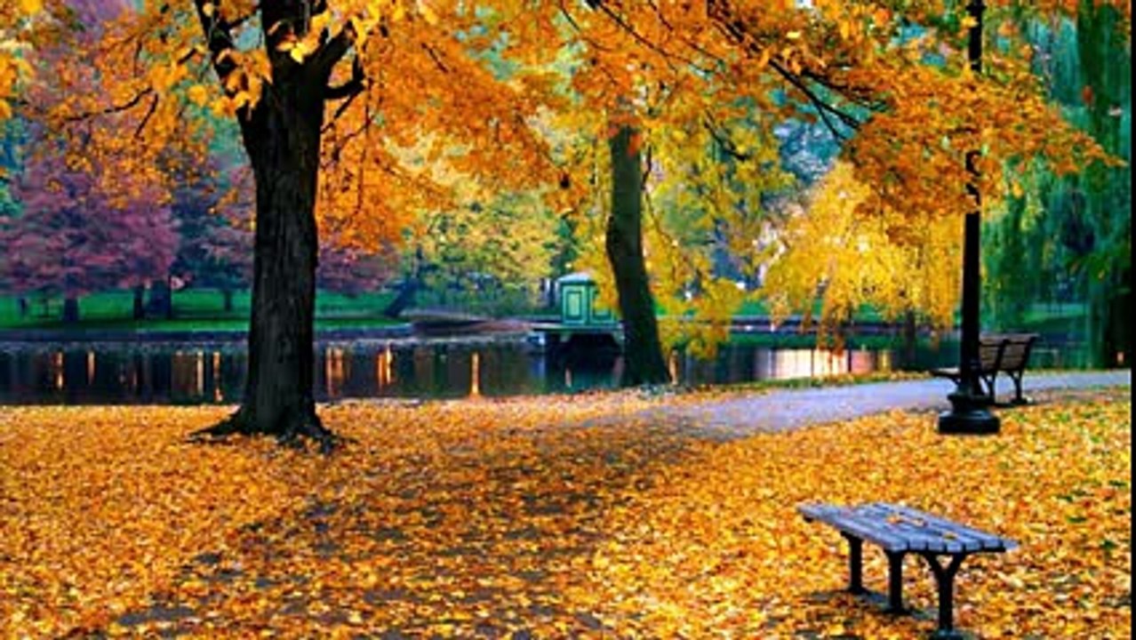 Листья жгут.Красивая и душевная песня для Вас!