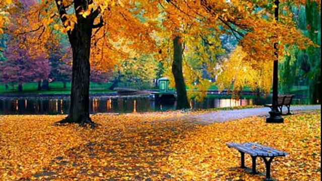 Листья жгут.Красивая и душевная песня для Вас!