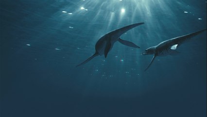 Watch Sea Rex 3D: Journey to a Prehistoric World 2010 Full Movie HD 1080p
