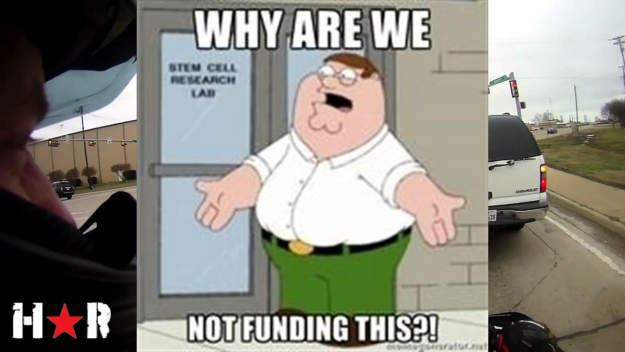 hot dog hot dog hot diggity dog