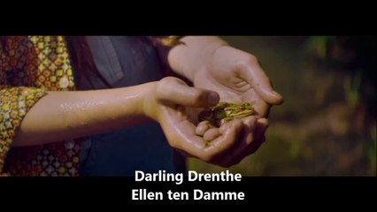 Hollanda 2. Yarı Final