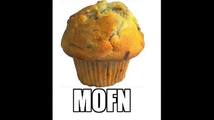 Herp Derp Food