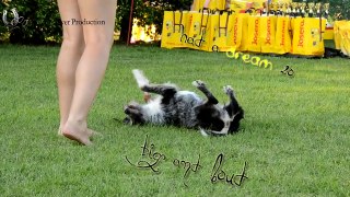 Best day of my life ~ II. Éjszakai Dog Dancing Bajnokság