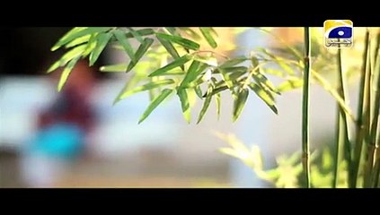 Sila Aur Jannat  Episode 61 Full - 8th March 2016