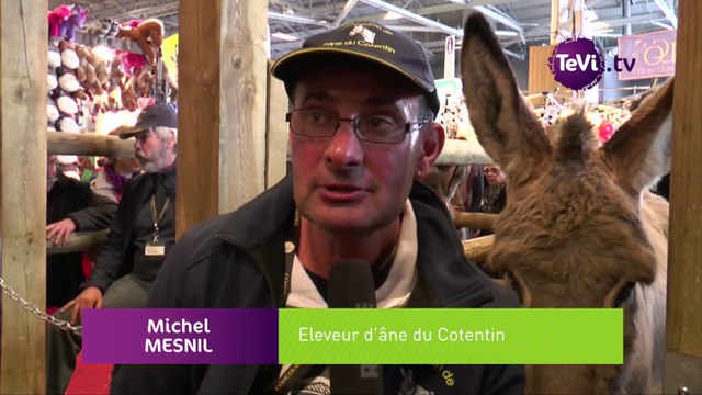 L'âne du Cotentin, vedette au Salon de l'Agriculture [TéVi] 16_03_08