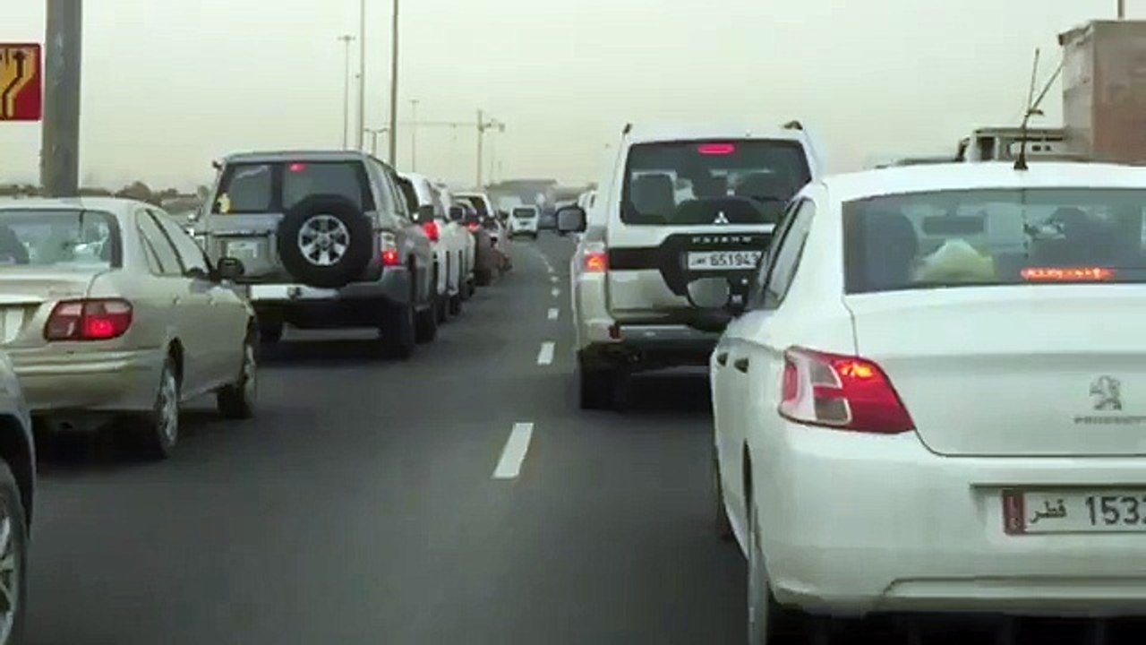Hallucinant  un tigre se balade au milieu des voiture sur l'autoroute au Qatar