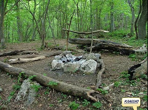 Игра Найди собаку 116, 117, 118, 119, 120 уровень - ВКонтакте - Ответы, подсказки, прохождение