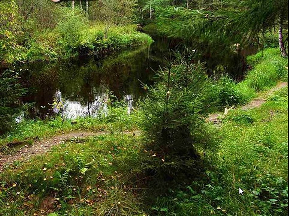 Игра Найди собаку 111, 112, 113, 114, 115 уровень - ВКонтакте - Ответы, подсказки, прохождение