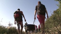 Refugjatët, në pritje për rrugën e Shqipërisë - Top Channel Albania - News - Lajme