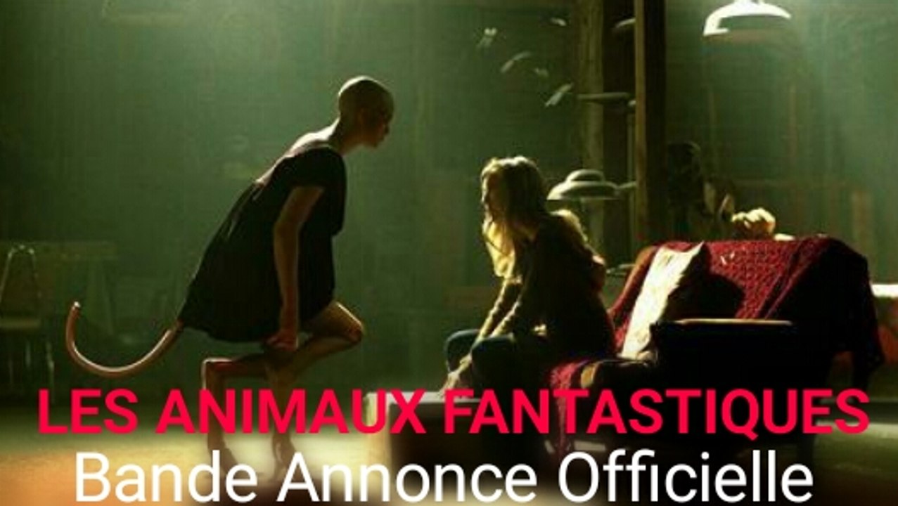 LES ANIMAUX FANTASTIQUES Bandes-annonce VF