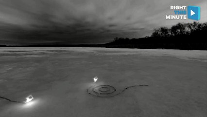 Calming Nature art Stop Motion Photography