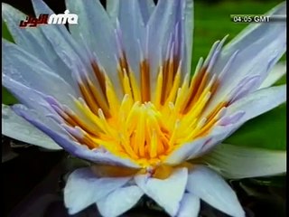 (Urdu Nazm) Apnay Karam Say Bakhsh Day Meray Khuda Mujhay - Islam Ahmadiyya