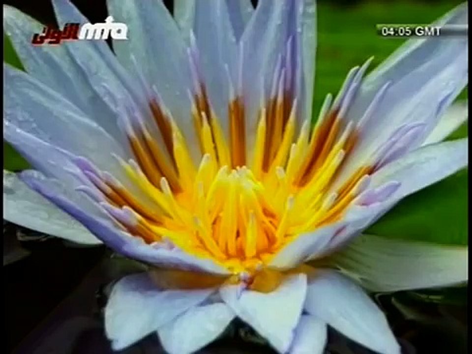 (Urdu Nazm) Apnay Karam Say Bakhsh Day Meray Khuda Mujhay - Islam Ahmadiyya