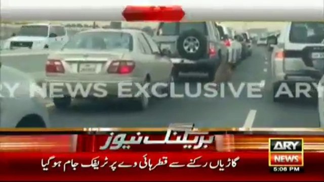 Tiger found roaming loose on the Doha Expressway