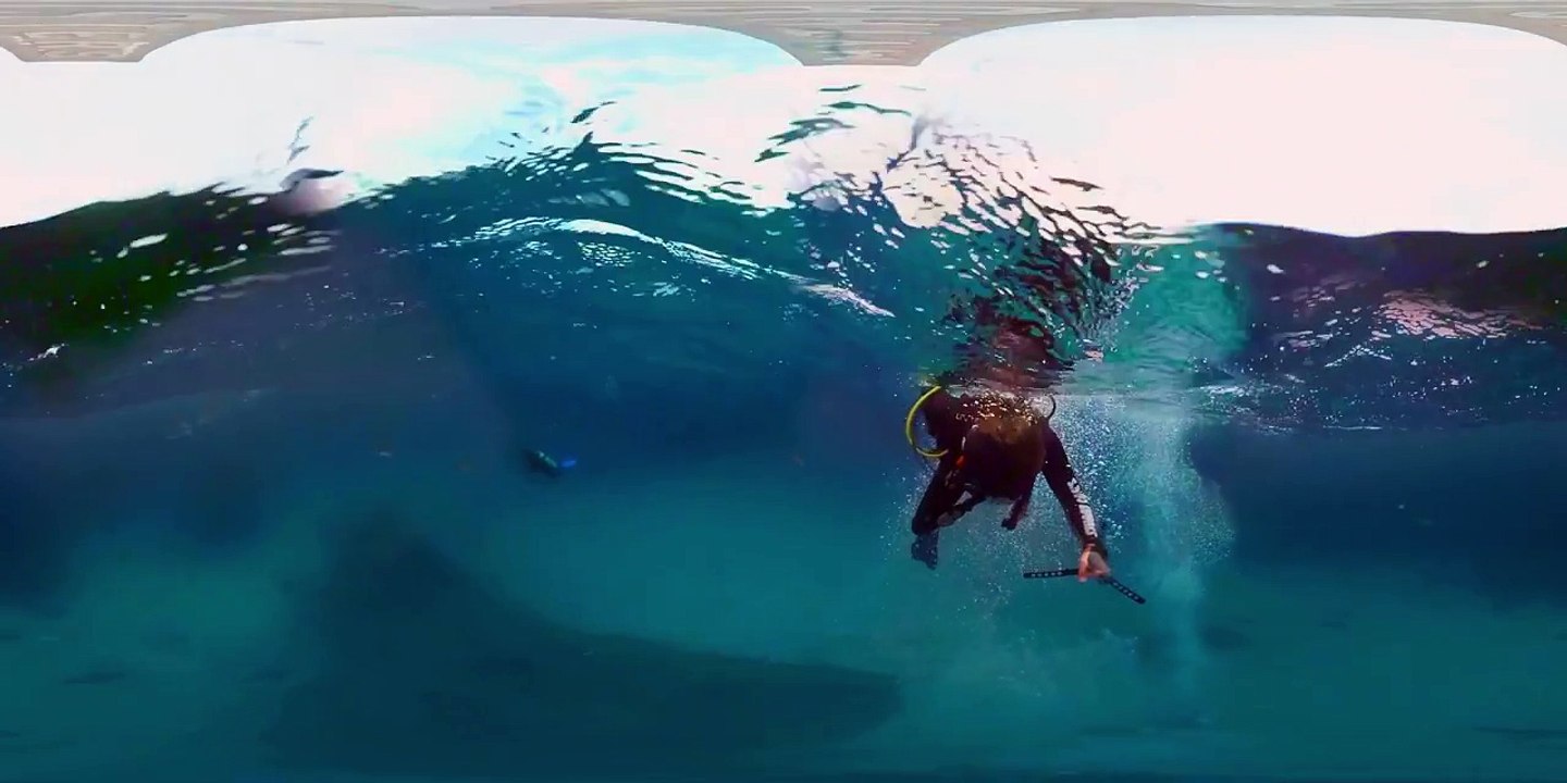 MythBusters: Shark Shipwreck (360 Video)
