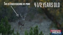 Aging Bucks on the Hoof