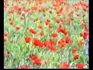 Mervan Nas & Raperin - Xemılli Zozan (DÜET)