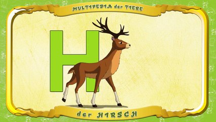 Multipedia der Tiere Buchstabe. H der Hirsch