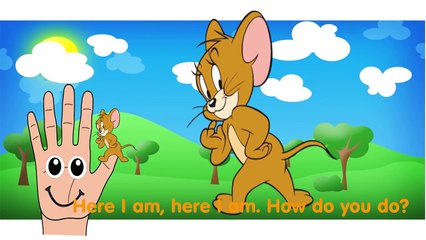 Tom and Jerry Finger Family Nursery Rhymes for Children