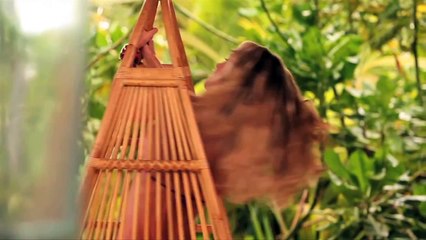 Beauties & Beats, Delta Spirit, _Empty House_