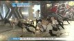 {y-STAR] EXO 'Growl' music video shooting spot (엑소 [으르렁] 뮤직비디오 '원 테이크 촬영' 공개)