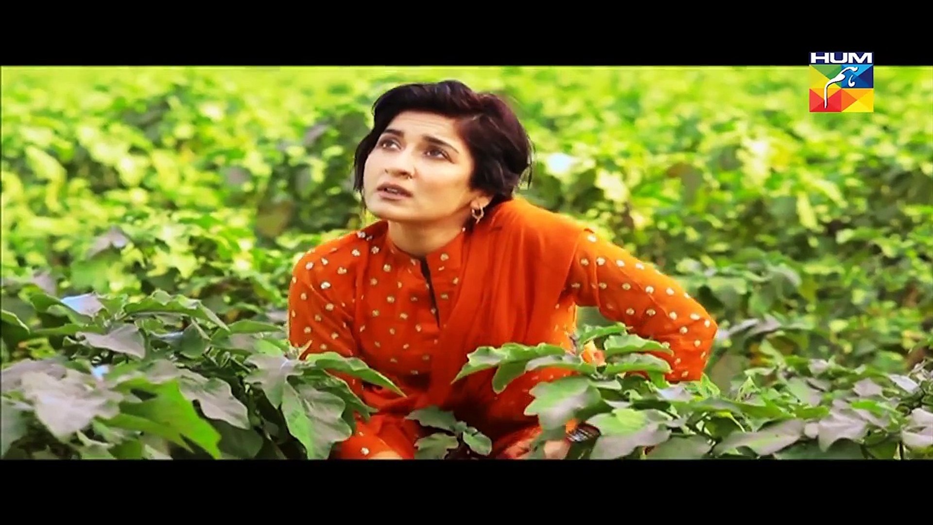 ⁣Best HUM TV DRAMAS OST - LATEST OST - VIDEO JUKEBOX - HUM TV