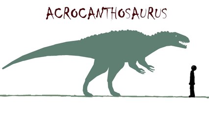 PDFC - The Redemption - Size Comparison