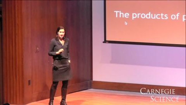 Why study stem cells in plants?