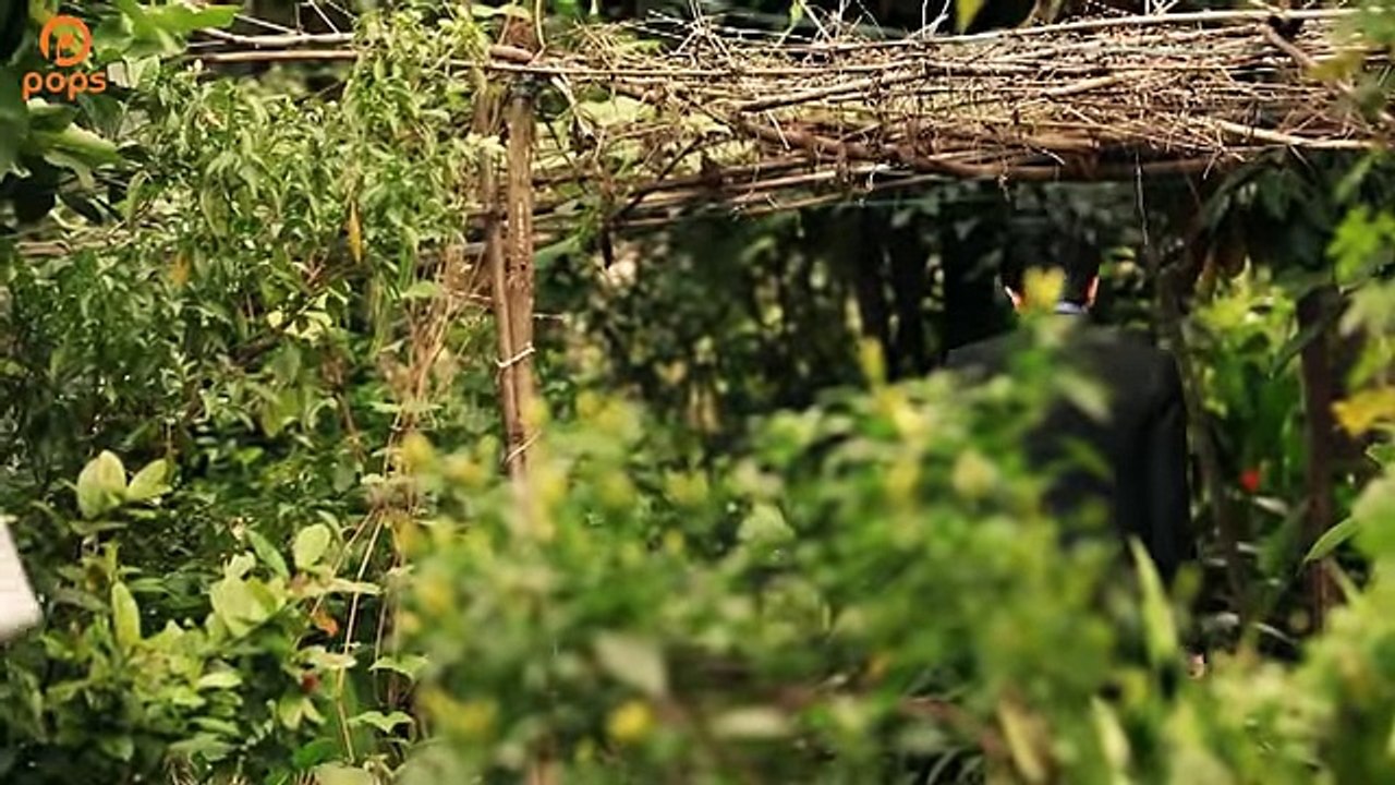 Thua Một Người Dưng - Kim Tiểu Long