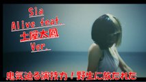 Sia 『Alive feat. 土屋太鳳』　鬼気迫る演技力！【まれ】だけじゃない、天才女優、土屋太鳳