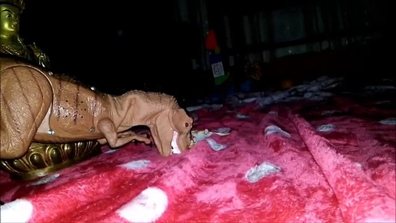 The Dinosaurs Song