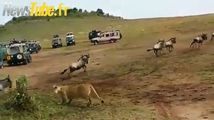 C'est le plus drôle commentaire !!!