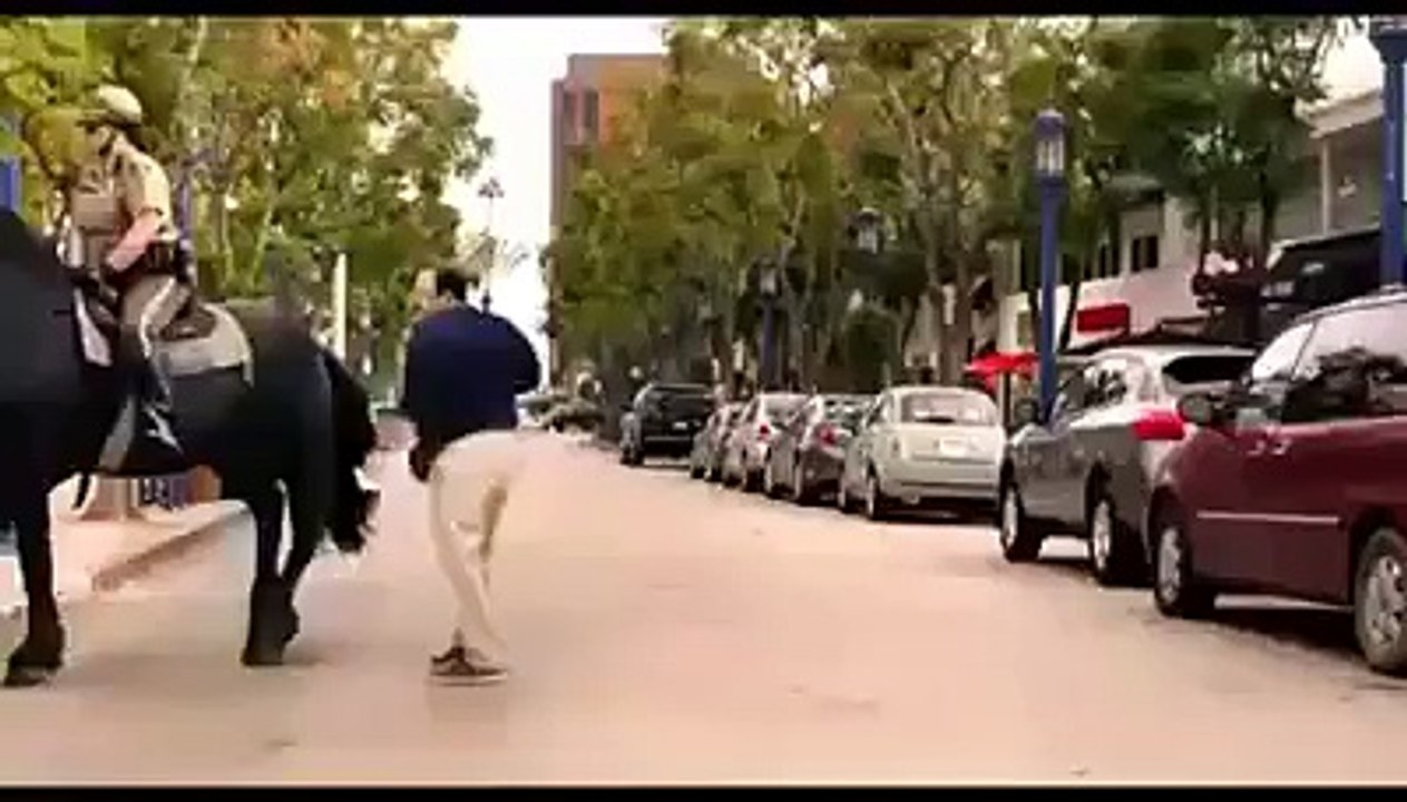 Never Disturb A Horse At Back