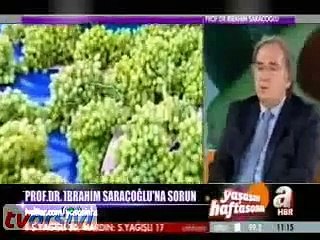 kireçlenme nedir tedavisi nedenleri bitkisel tedavi ibrahim saraçoğlu çınar yaprağı kürü şifalı
