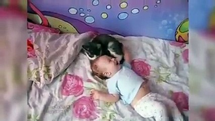 This is so adorable! A cat soothes a crying baby
