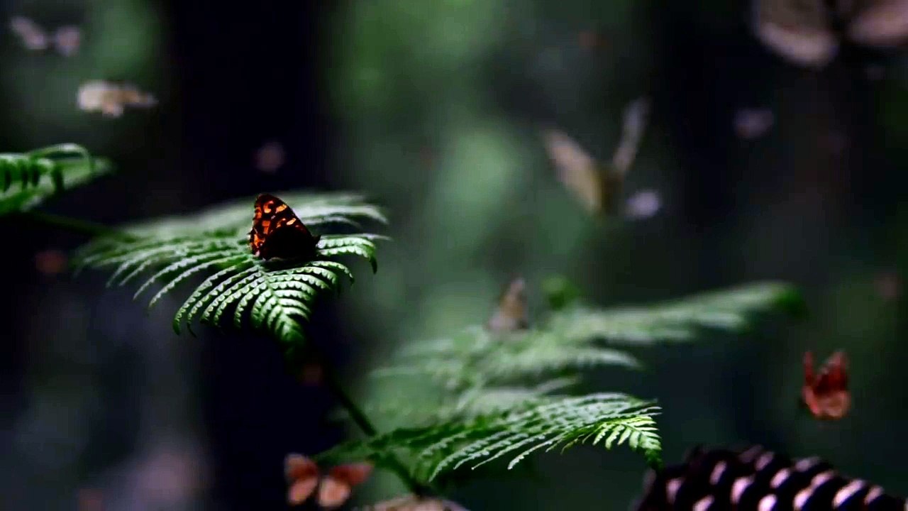 SUV TV commercial