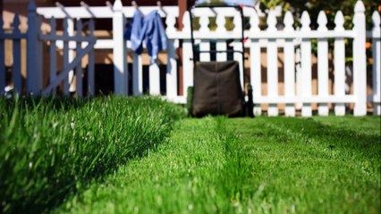 Perry's Lawn & Landscaping - (931) 202-9198