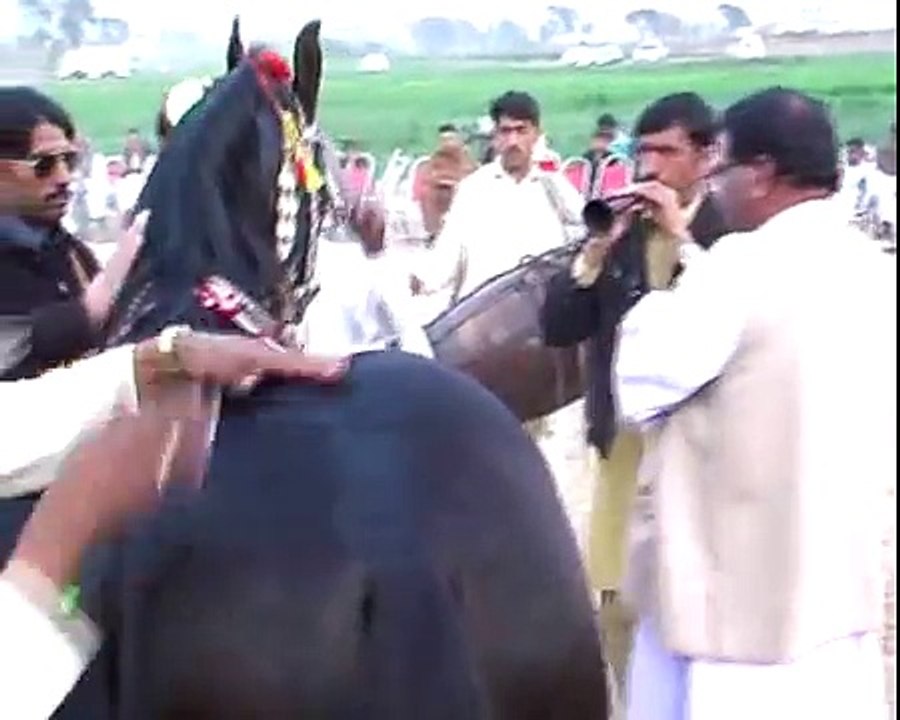 Harchahal Horse dancing maila sakrila sarai alamgir
