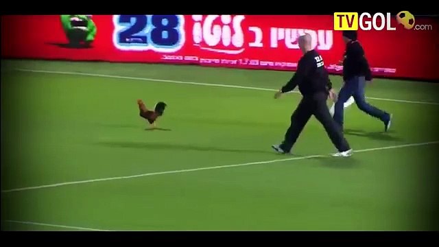 ФУТБОЛЬНЫЕ ПРИКОЛЫ 2014 9