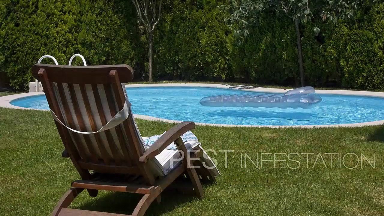 Reasons For Entrusting Your Property To Archer Services
