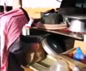 شيلة جهز الاشهب  حامد الضبعان الشاص