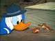 Pato donald - La gallinita sabia. Dibujos animados de Disney - espanol latino.