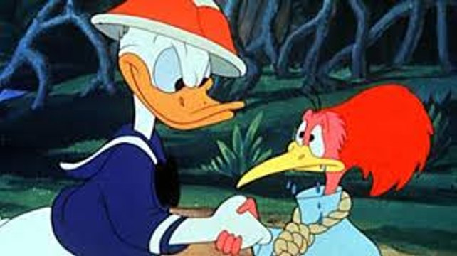 Pato donald - Don Donald. Dibujos animados de Disney - espanol latino.