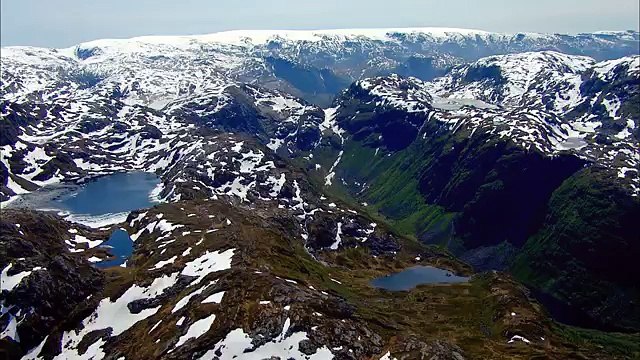 Дикая природа скандинавии14