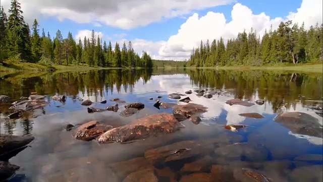 Дикая природа скандинавии16