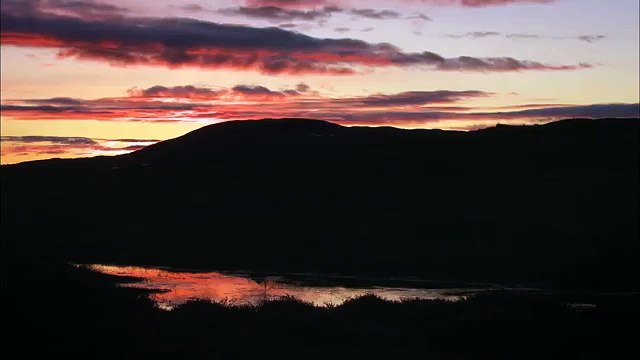 Дикая природа скандинавии17