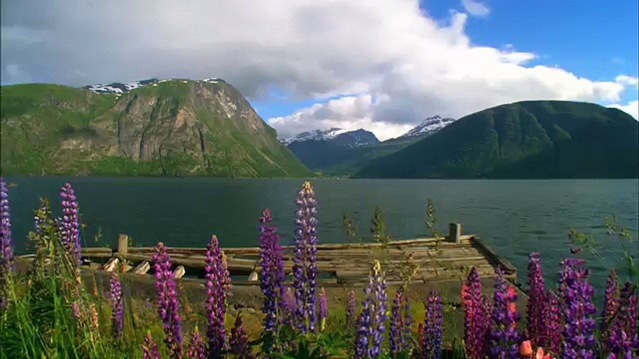 Дикая природа скандинавии21