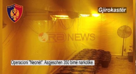 Gjirokastër, zbulohet një laborator për kultivimin e marijuanës me anë të llambave- Ora News