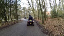 Snertrit Buxter Buggy