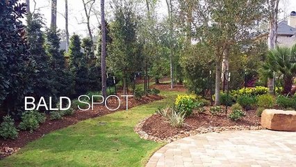 Archer Services - Your One Source For Your Landscape Maintenance & Construction